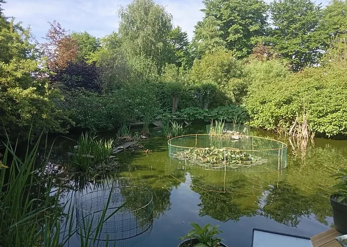 D'hôtes Naturistes De La Moque Souris